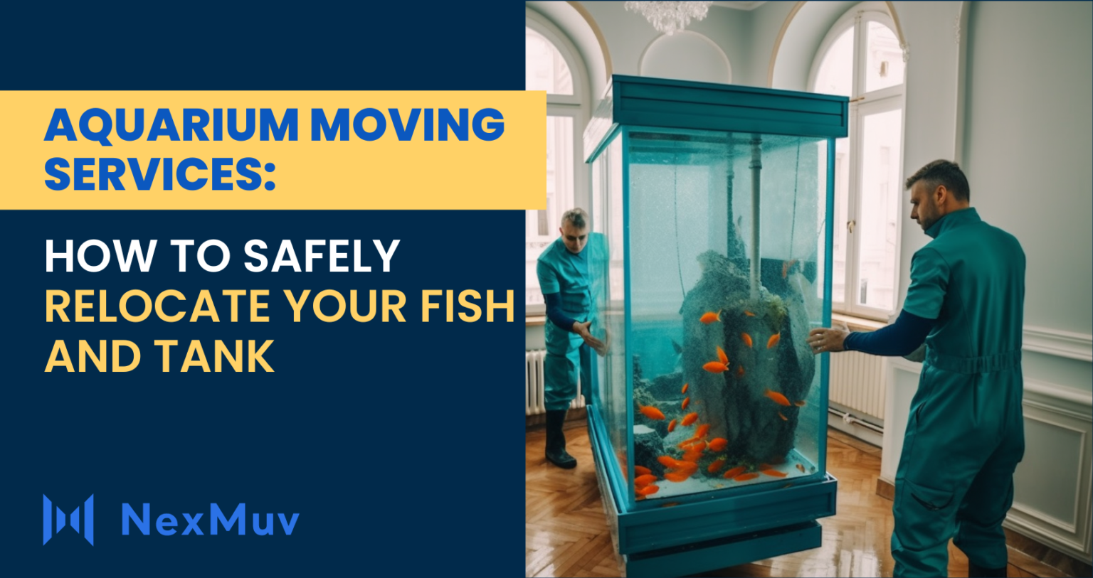 Aquarium Moving Services How To Safely Relocate Your Fish And Tank